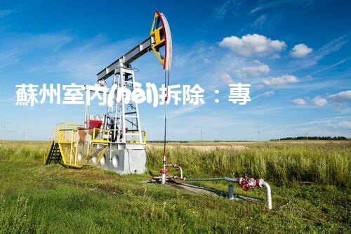 蘇州室內(nèi)拆除：專業(yè)高效，安全環(huán)保一站式服務(wù)